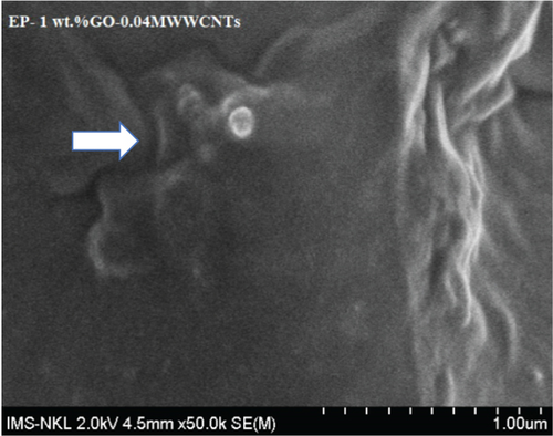 Details are in the caption following the image