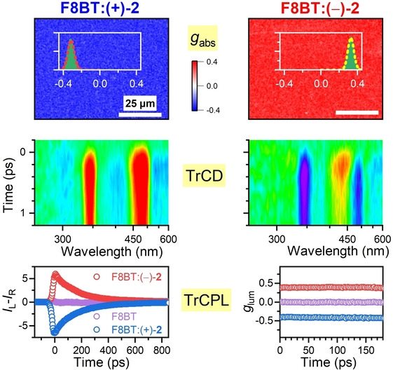Spatiotemporal Mapping of Efficient Chiral Induction by Helicene-Type Additives in Copolymer Thin Films