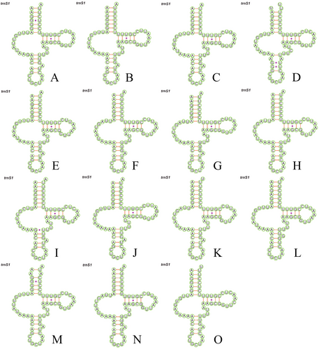 Details are in the caption following the image