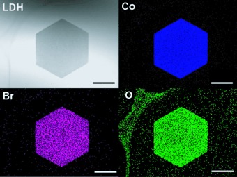 Topochemical Synthesis of Monometallic (Co2+–Co3+) Layered Double Hydroxide and Its Exfoliation into Positively Charged Co(OH)2 Nanosheets