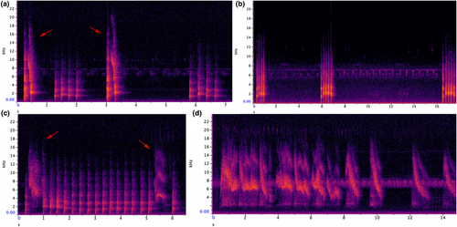 Details are in the caption following the image Details are in the caption following the image