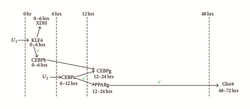 Details are in the caption following the image