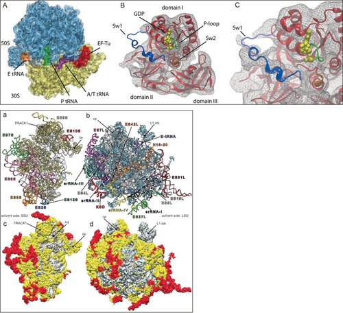 Details are in the caption following the image Details are in the caption following the image