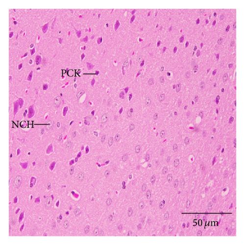 Details are in the caption following the image