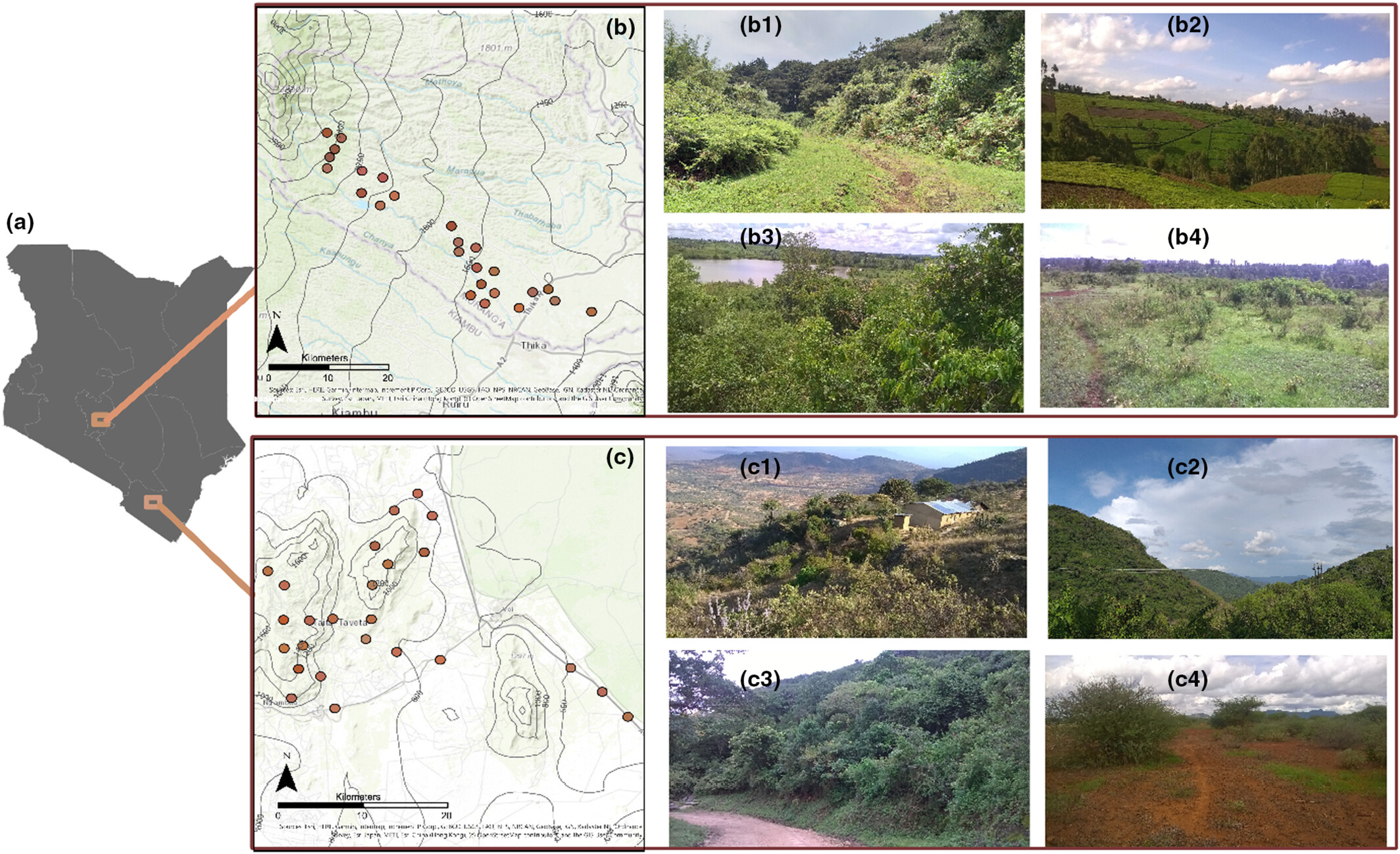Seasonal and elevational changes of plant-pollinator interaction networks in East African mountains