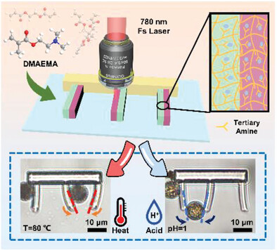 Dual-Stimuli Cooperative Responsive Hydrogel Microactuators Via Two-Photon Lithography