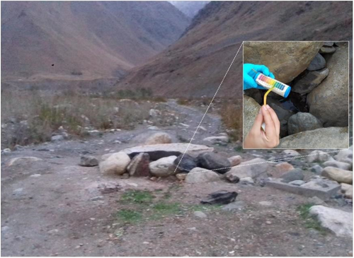 Details are in the caption following the image Details are in the caption following the image