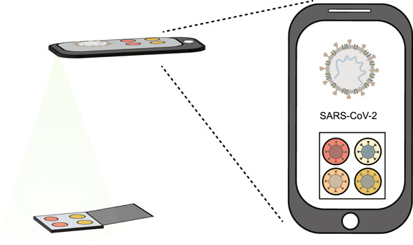Colorimetric detection of SARS-CoV-2 variants with paper-based analytical devices