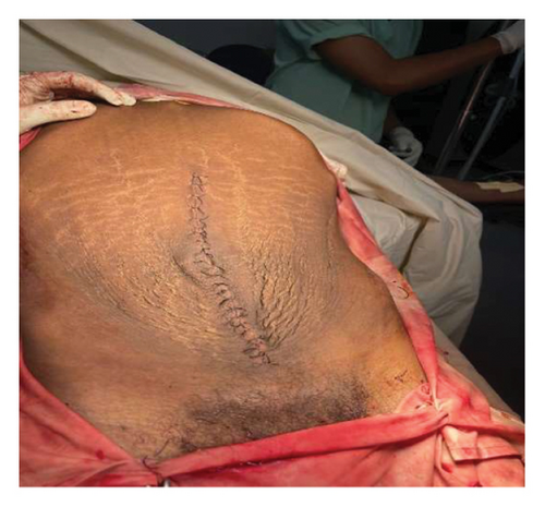 Details are in the caption following the image Details are in the caption following the image