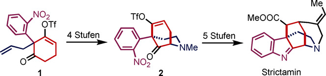 Total Synthesis of (±)-Strictamine