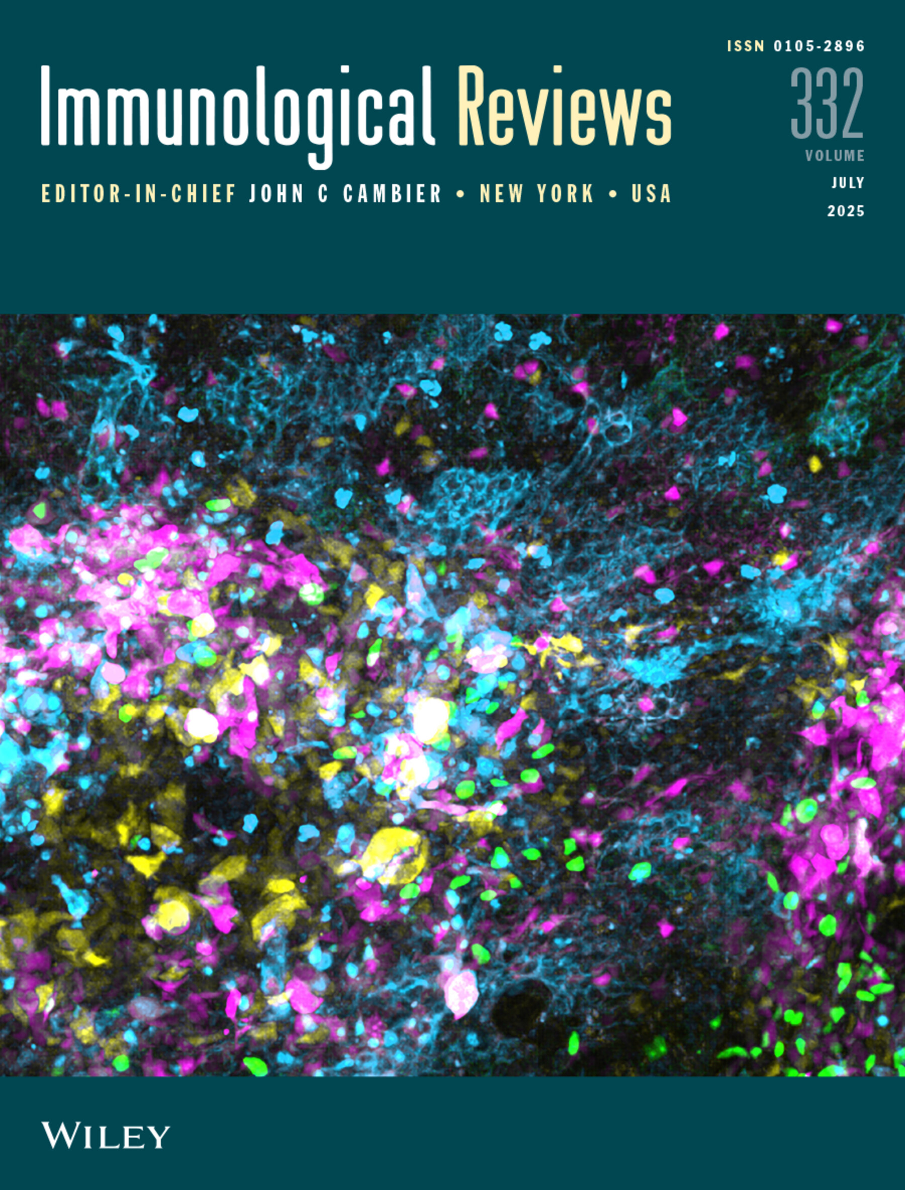 Cover Image Issue 1, 2025