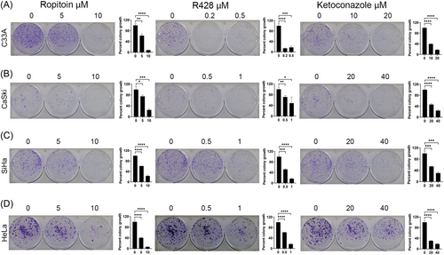 Details are in the caption following the image Details are in the caption following the image