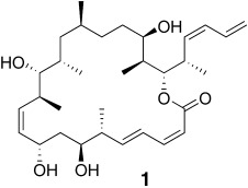 Total Synthesis of (−)-Dictyostatin: Confirmation of Relative and Absolute Configurations