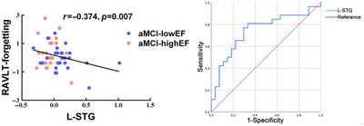 Episodic memory network characteristics in patients with amnestic mild cognitive impairment accompanied by executive function impairment