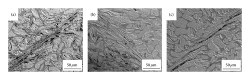 Details are in the caption following the image
