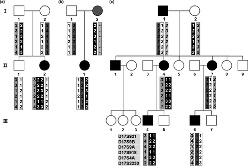 Details are in the caption following the image Details are in the caption following the image