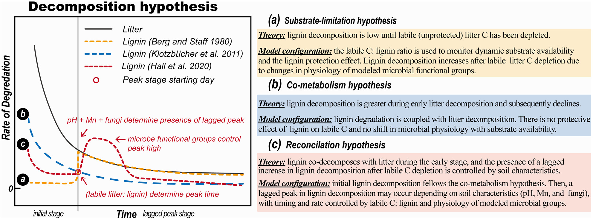 Resolving the influence of lignin on soil organic matter decomposition with mechanistic models and continental-scale data