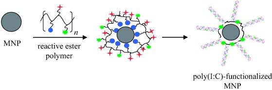 dsRNA-Functionalized Multifunctional γ-Fe2O3 Nanocrystals: A Tool for Targeting Cell Surface Receptors