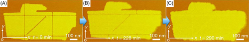 Details are in the caption following the image Details are in the caption following the image
