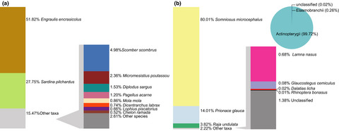 Marine water environmental DNA metabarcoding provides a comprehensive fish diversity assessment and reveals spatial patterns in a large oceanic area