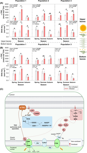 Details are in the caption following the image Details are in the caption following the image
