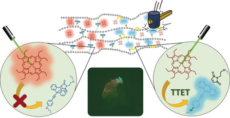 Anti-Stokes-Belastungsanzeige: Mechanochemische Aktivierung der Triplett-Triplett-Annihilierung-Photonen-Hochkonversion