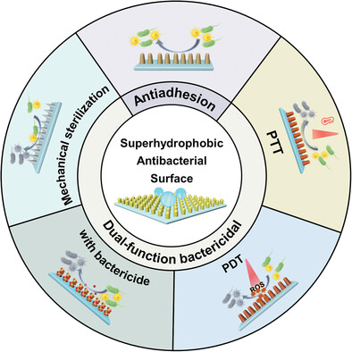Recent Advances in Dual-Function Superhydrophobic Antibacterial Surfaces