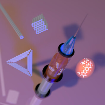 Herausforderungen und Perspektiven von DNA-Nanostrukturen in der Biomedizin
