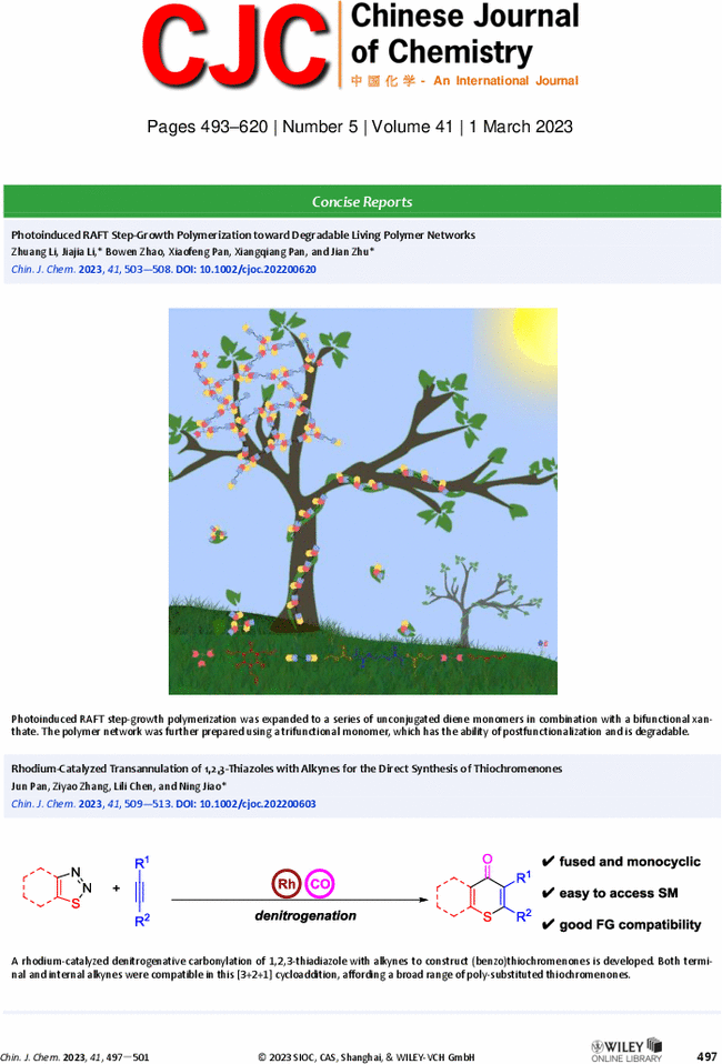 First page image