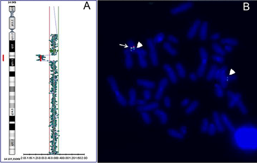 Details are in the caption following the image Details are in the caption following the image