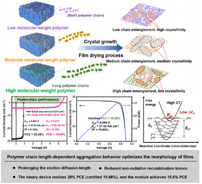 Prolonging Exciton Diffusion Length via Modulating Aggregation Structures for Binary Organic Photovoltaics Approaching 20% Certified Efficiency