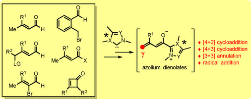 N-Heterocyclic Carbene Catalysis via Azolium Dienolates: An Efficient Strategy for Remote Enantioselective Functionalizations