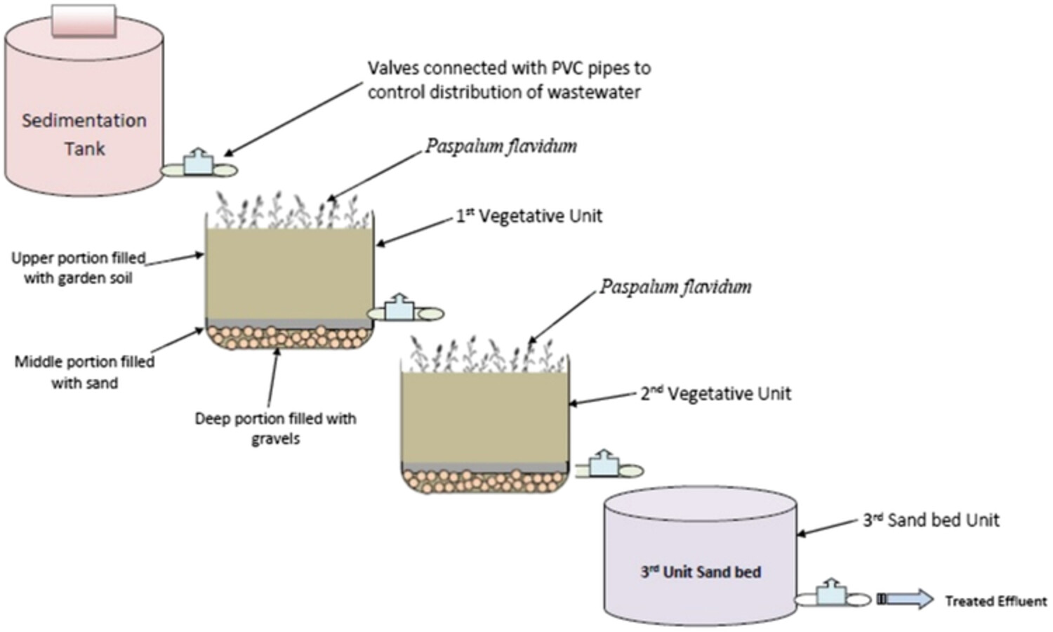 Bio-purification of domestic wastewater through constructed wetland planted with Paspalidium flavidum