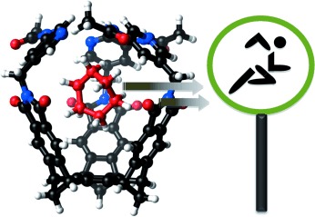 Molecular Recognition of a Transition State