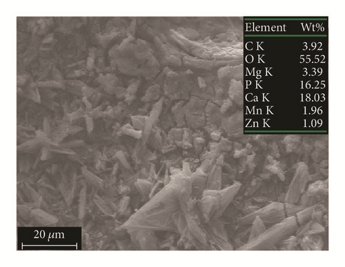 Details are in the caption following the image