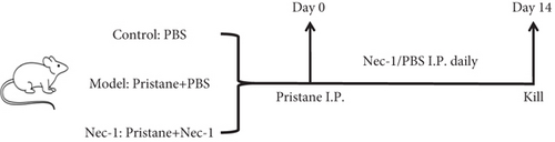Details are in the caption following the image