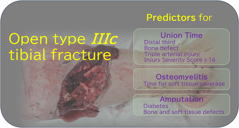 Predicting Union, Osteomyelitis, and Amputation Outcomes of Gustilo IIIC Open Tibial Fractures: A Retrospective Study