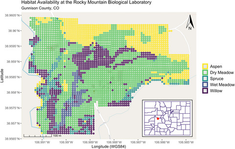 Habitat selection in a fluctuating ground squirrel population: Density-dependence and fitness consequences