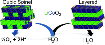 Structural Requirements in Lithium Cobalt Oxides for the Catalytic Oxidation of Water