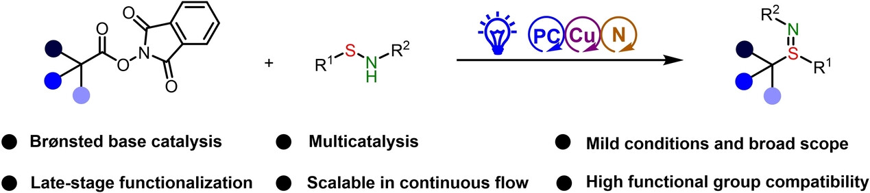Decarboxylative Radical Sulfilimination via Photoredox, Copper, and Brønsted Base Catalysis