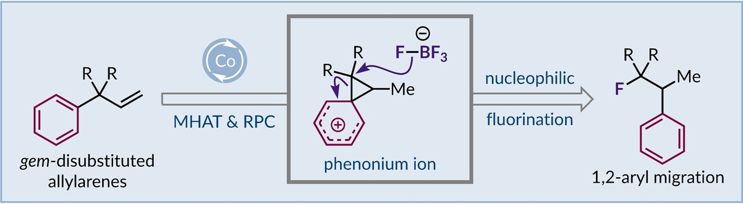 Cobalt-Catalyzed Wagner–Meerwein Rearrangements with Concomitant Nucleophilic Hydrofluorination