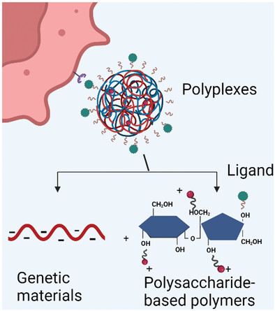 Current Status and Trends in Nucleic Acids for Cancer Therapy: A Focus on Polysaccharide-Based Nanomedicines