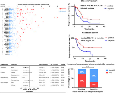 The development of a tumor-associated autoantibodies panel to predict clinical outcomes for immune checkpoint inhibitor-based treatment in patients with advanced non-small-cell lung cancer