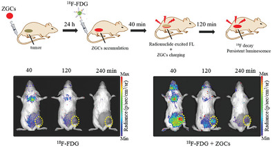In Vivo Repeatedly Activated Persistent Luminescence Nanoparticles by Radiopharmaceuticals for Long-Lasting Tumor Optical Imaging