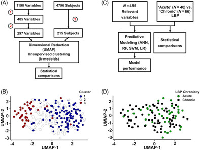 Socioeconomic status, mental health, and nutrition are the principal traits for low back pain phenotyping: Data from the osteoarthritis initiative