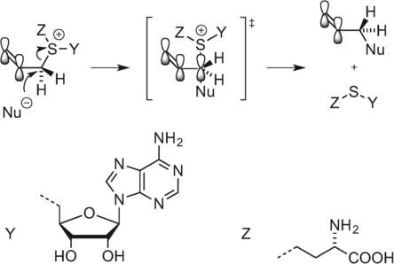 Details are in the caption following the image
