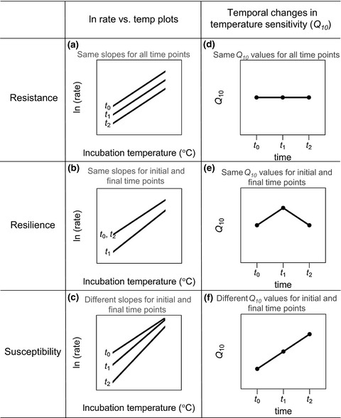 Temperature sensitivity of biomass-specific microbial exo-enzyme activities and CO2 efflux is resistant to change across short- and long-term timescales