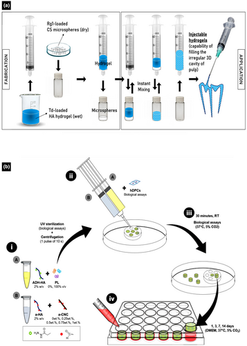 Details are in the caption following the image Details are in the caption following the image