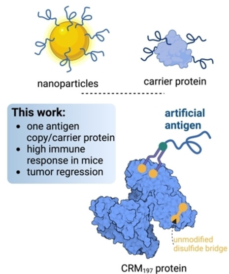 Non-Natural MUC1 Glycopeptide Homogeneous Cancer Vaccine with Enhanced Immunogenicity and Therapeutic Activity