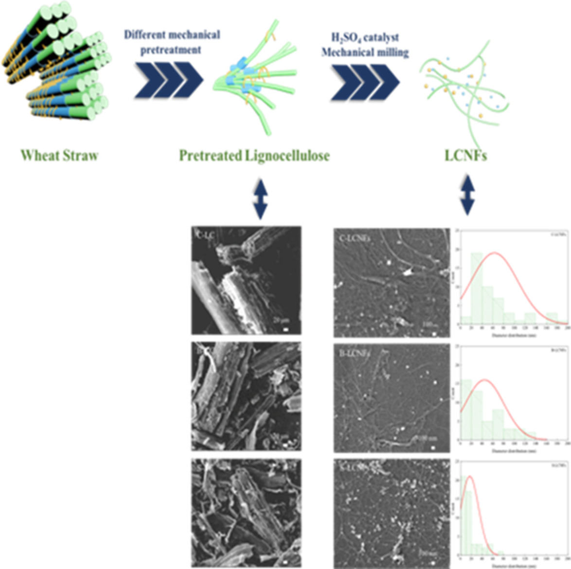 Characteristic comparison of lignocellulose nanofibrils from wheat straw having different mechanical pretreatments
